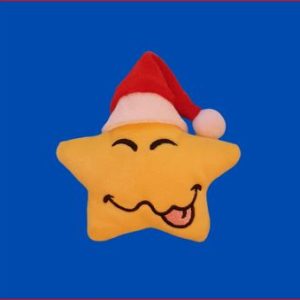 Silly Santa Star